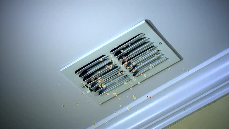 Trusted Homestead Valley, CA Airduct Cleaning Experts