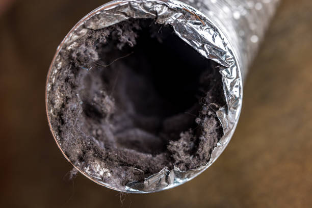 Best Ventilation Cleaning Services  in Homestead Valley, CA