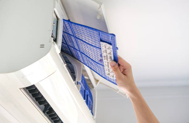 Best Air Quality Test  in Homestead Valley, CA